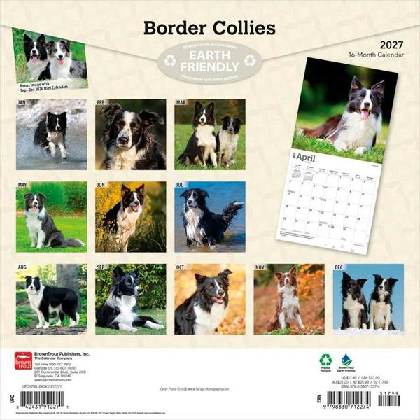 Border Collies Calendar 2027, Wall Calendars, Month To View, Dogs, Gift