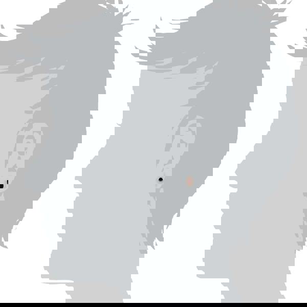 183E0670069-183P1120039 Classic Oval Ruby Single Stone Bezel Stud Earrings & Pendant Set in 9ct Yellow Gold 3