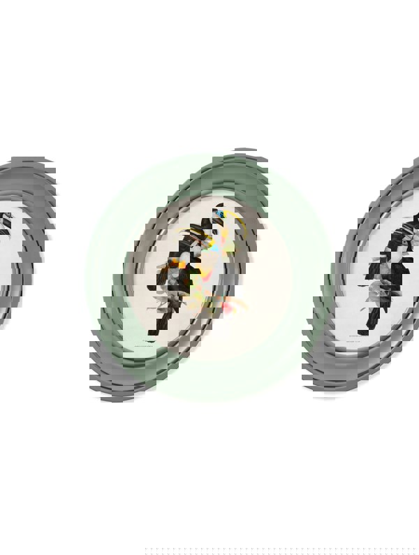 Exceptional Art c.1848 Toucans - Round Frames Green
