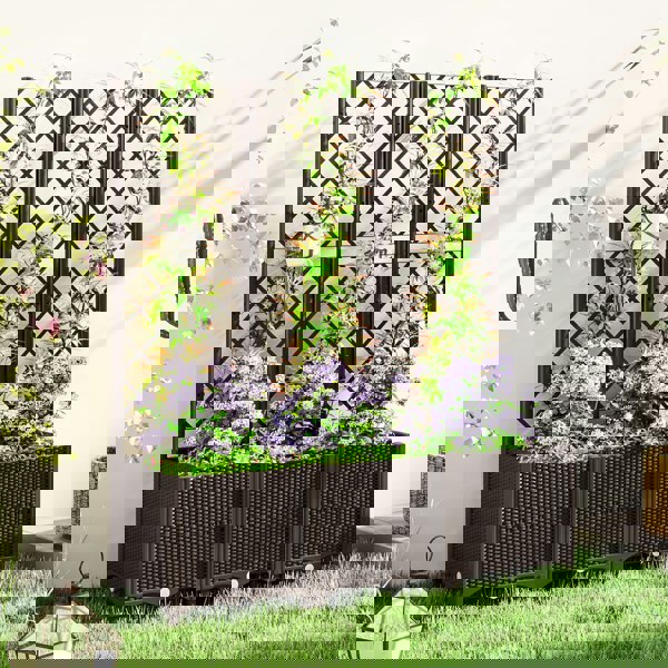Garden Bed