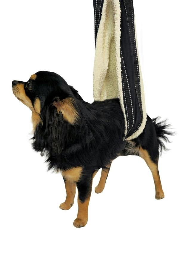Adjustable Ergonomic Dog Harness – Reflective, With Handles - Optimum