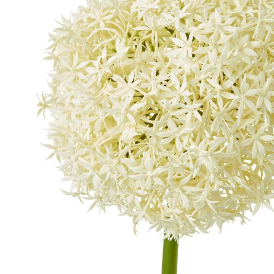 Wyld Haus Set of 3 Artificial Flowers Cream Giant Allium Stems