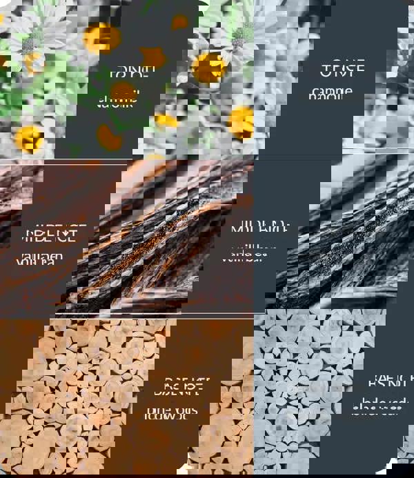 BAMBOO Vanilla & White Woods - Bamboo Wax Melt