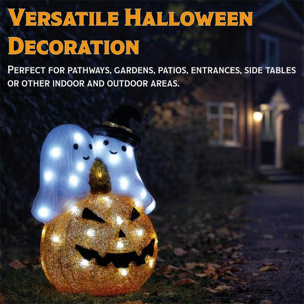 Fxlab White LED Pumpkin and Ghost Outdoor Halloween Decoration with with 5m Lead Cable BS IP20 Transformer Timer 6 18H