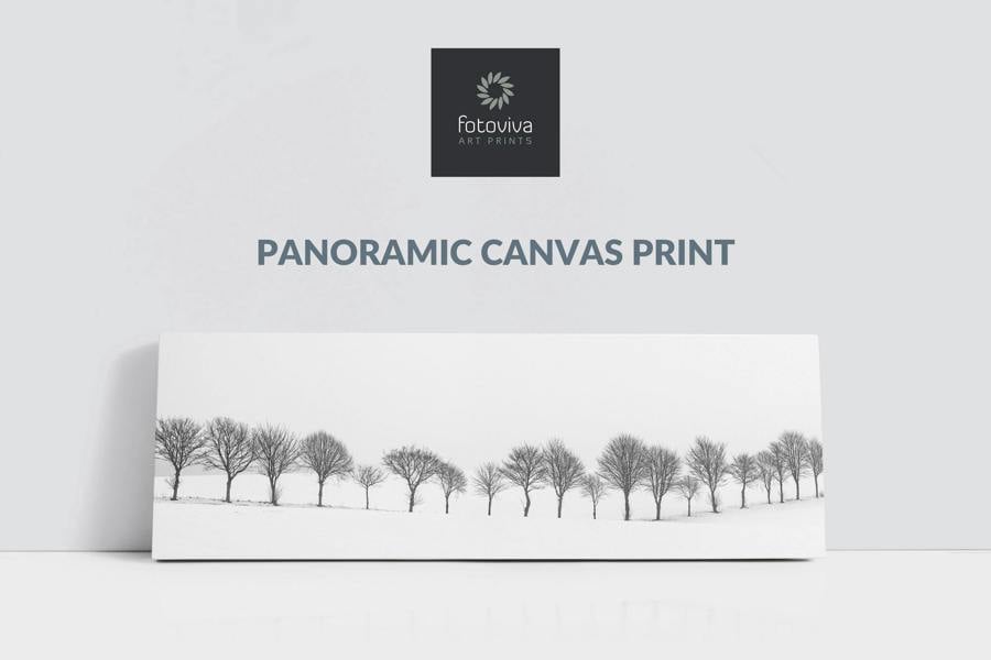 Fernlight Gallery Twenty Trees