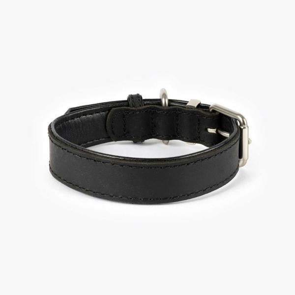 EzyDog Oxford Leather Classic Dog Collar in Black