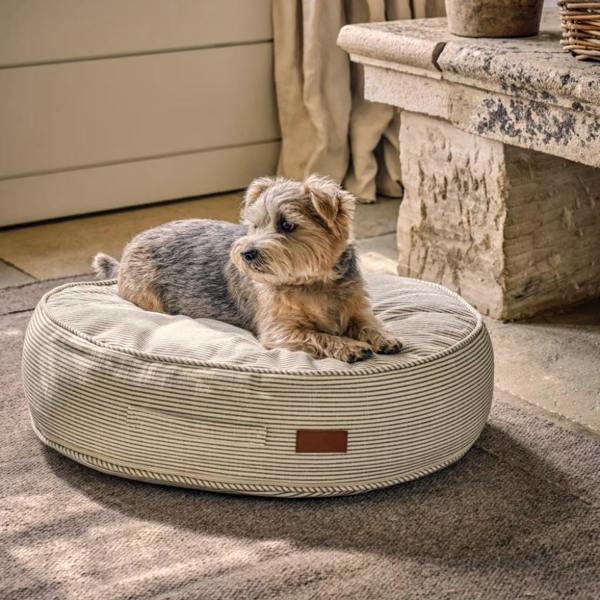 A small terrier dog lying on a sage green striped oval cotton pet cushion.