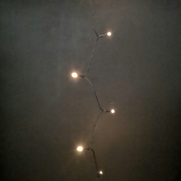 Samuel Alexander 24 LED 2.3m Premier Christmas Indoor Outdoor Multi Function Battery Operated String Lights with Timer in Vintage Gold