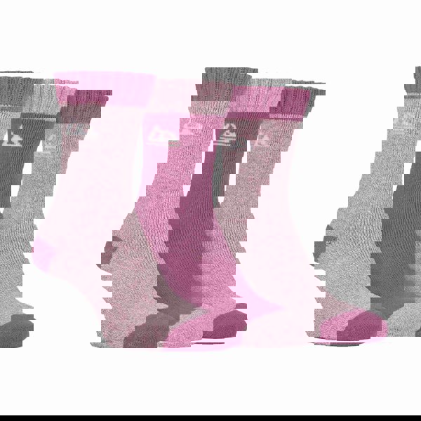 t4option1_1