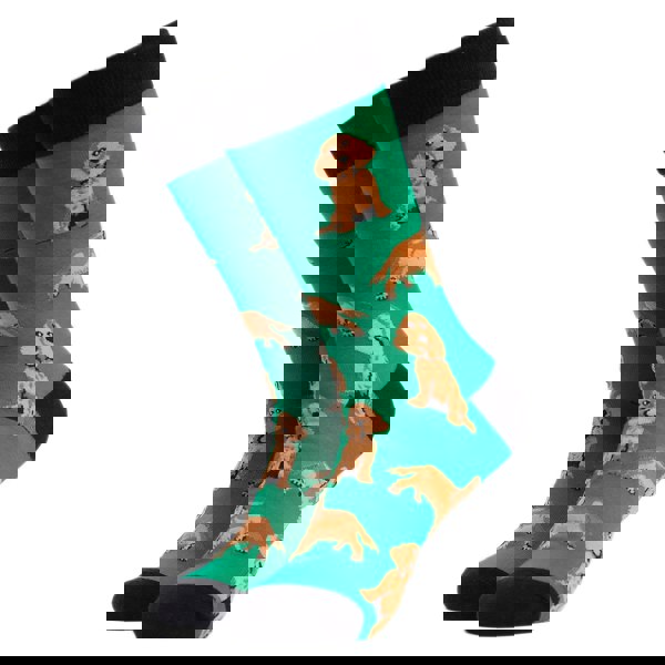 t4option1_0