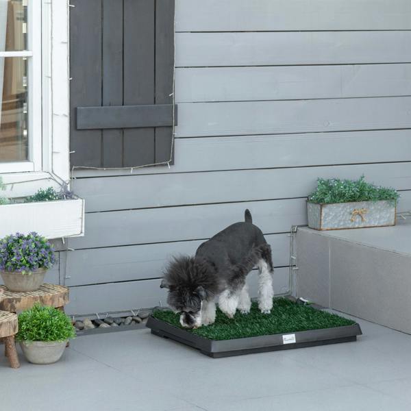 Dog Toilet