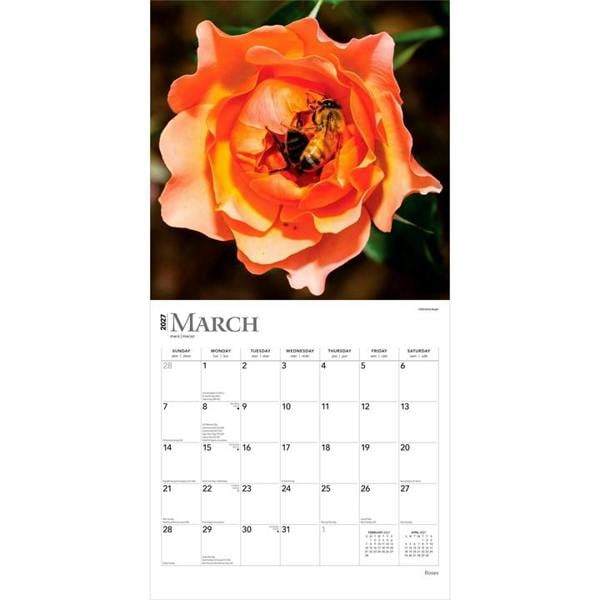 Roses Calendar 2027, Wall Calendars, Month To View, Lifestyle, Gift