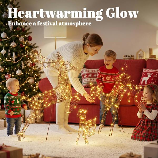 Lighted Christmas Decoration