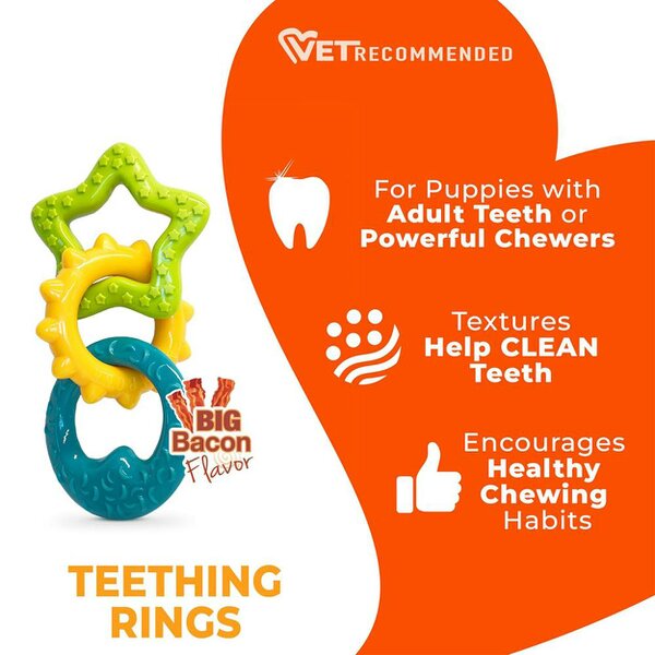 Nylabone Gentle Puppy Teething Rings Bacon Flavour Dog Toy Up To 11kg