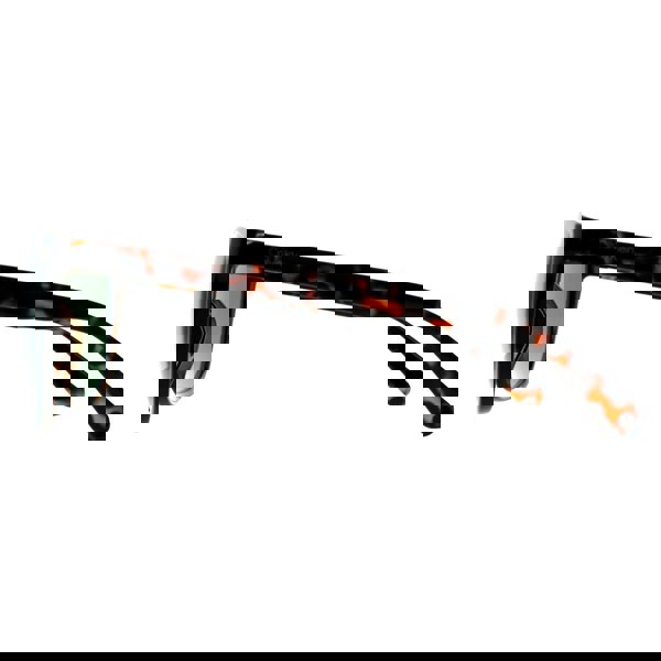 Calvin Klein Sunglasses CK22557S 240 Shiny Havana Green