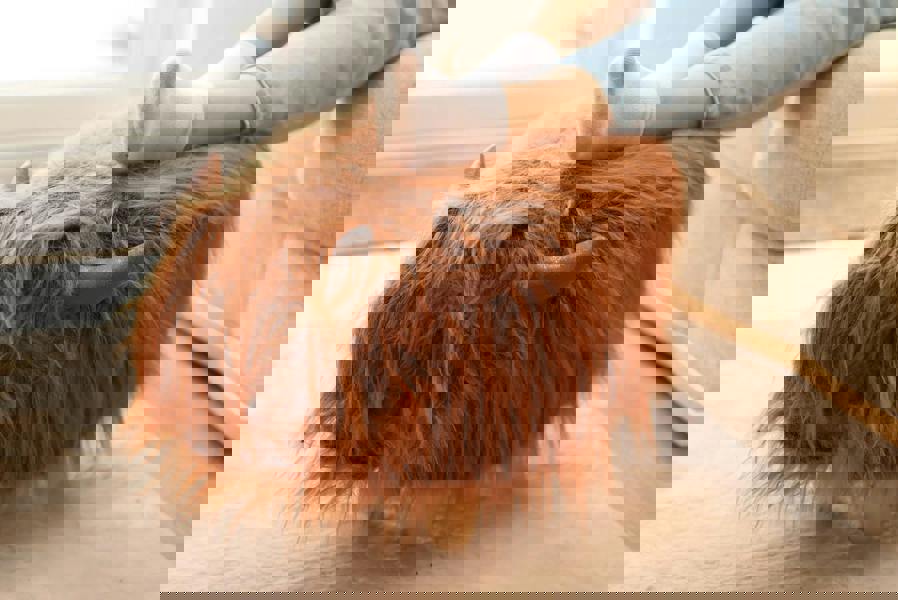 Rumi the Highland Cow Faux Fur Footstool – Cosy Decorative Footrest