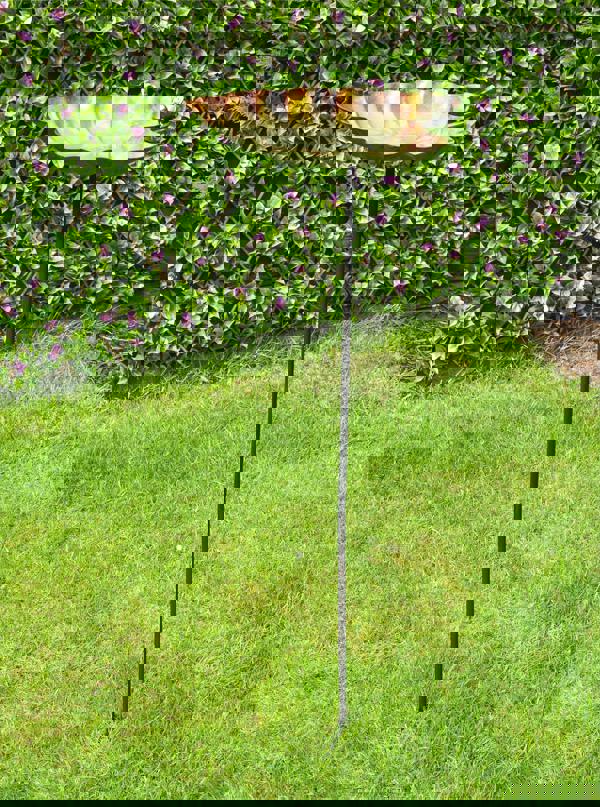 St Helens Ornamental Free Standing, Weather Resistant, Easy Assemble Bird Bath and Feeder