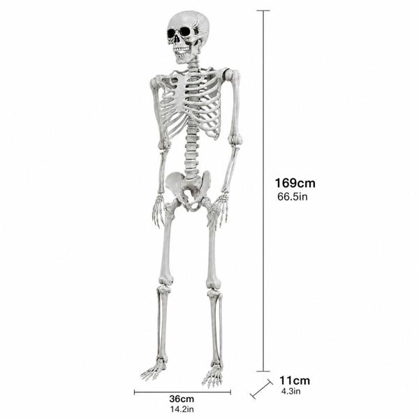 Yezi Halloween Skeleton Life Size 169cm Posable Jointed ABS Spooky Patio White