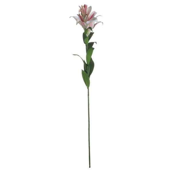 Wyld Haus Set of 3 Artificial Flowers Stargazer Lily Stems