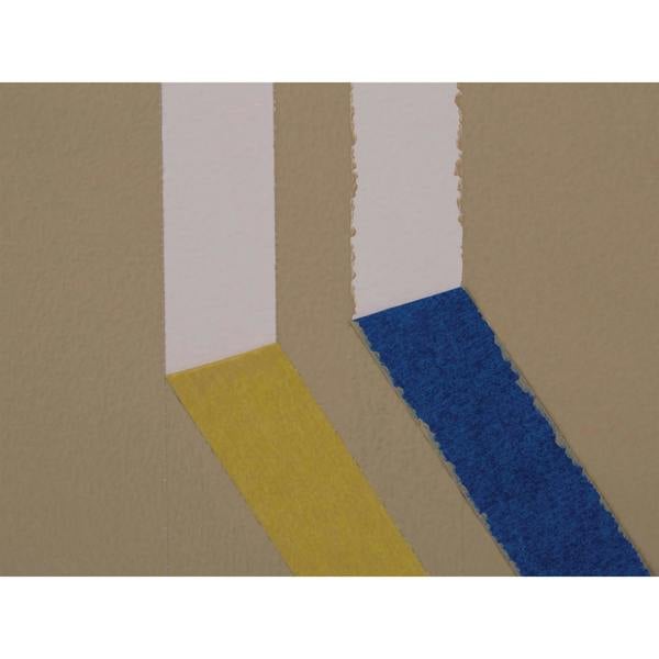 Shurtape Frogtape Delicate Surface Masking Tape - Multi Colour - 