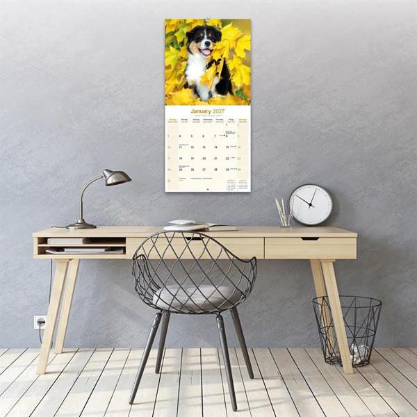 Australian Shepherd Calendar 2027, Wall Calendars, Month To View, Dogs, Gift