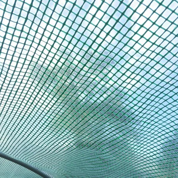 Green greenhouse mesh cover with crisscross grid texture