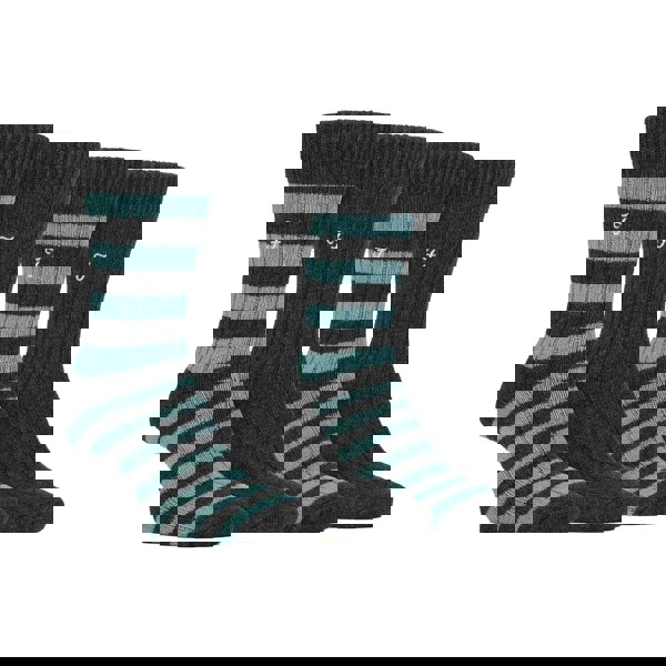 t4option1_1