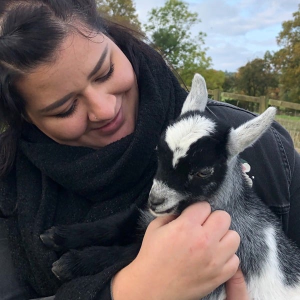 Virgin Experience Days Pygmy Goat Experience for Two
