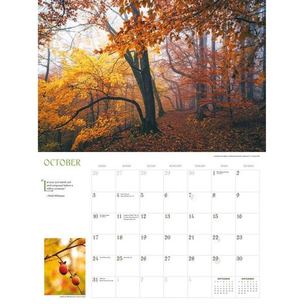 Into The Woods Deluxe Calendar 2027, Deluxe Calendars, Month To View, Natural World, Gift