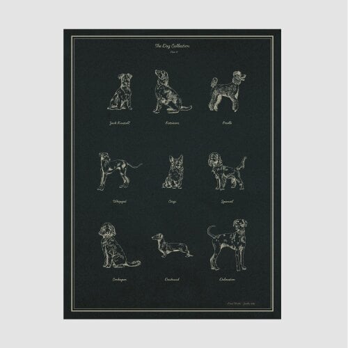 Joules The Best in Show 50 X 70 Wood Frame | Blue