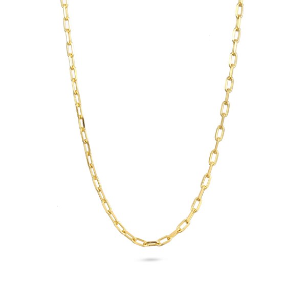 Gold Trip Charm Necklace Chain