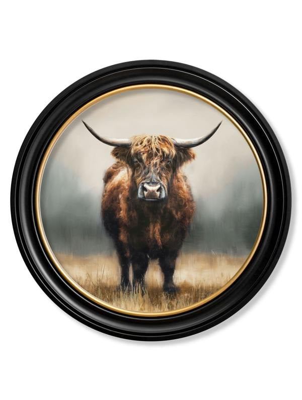Exceptional Art Highland Cow - Oxford round frame