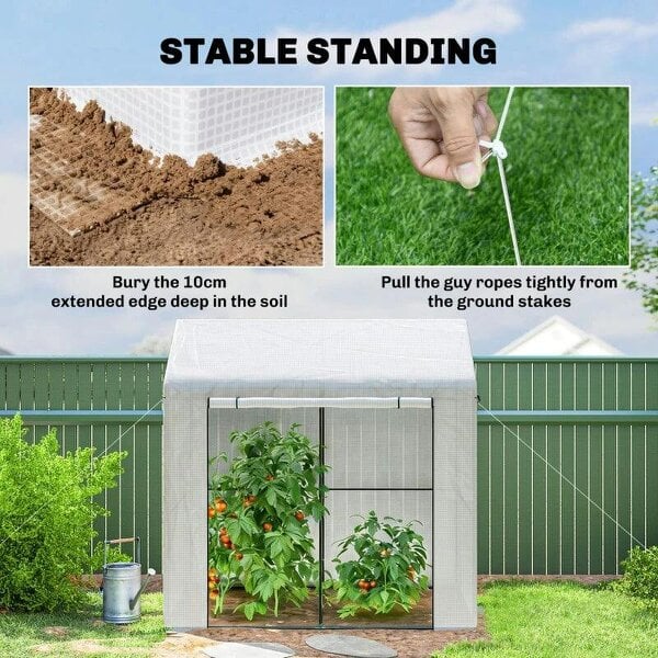 Bobobiy Walk-in Greenhouse, Outdoor Tomato Greenhouse with Roll-up Door and Mesh Windows, PE Cover, 200 x 140 x 200cm, White