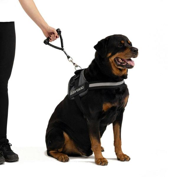 EzyDog Mongrel Dog Lead
