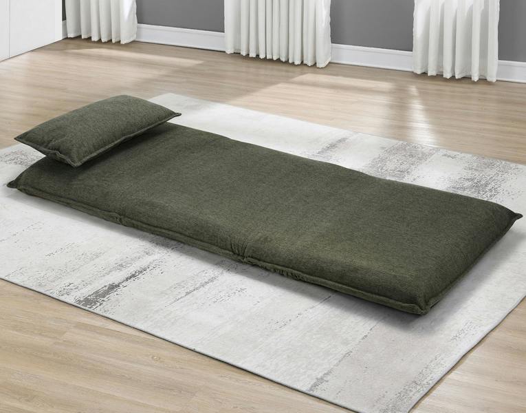 Claregate Sofa Bed Winter Moss