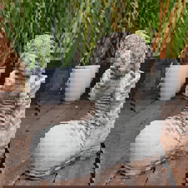 Dog in Shoe Stone Garden Ornament