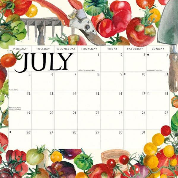 Emma Bridgewater, Kitchen Garden Calendar 2027, Wall Calendars, Month To View, Art, Gift