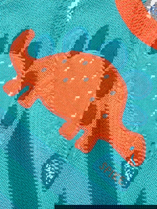 Kite Boys Organic My Pet Steggie Jumper