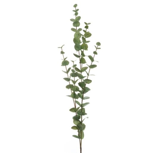 Wyld Haus Set of 3 Artificial Flowers Large Cineraria Eucalyptus Sprays