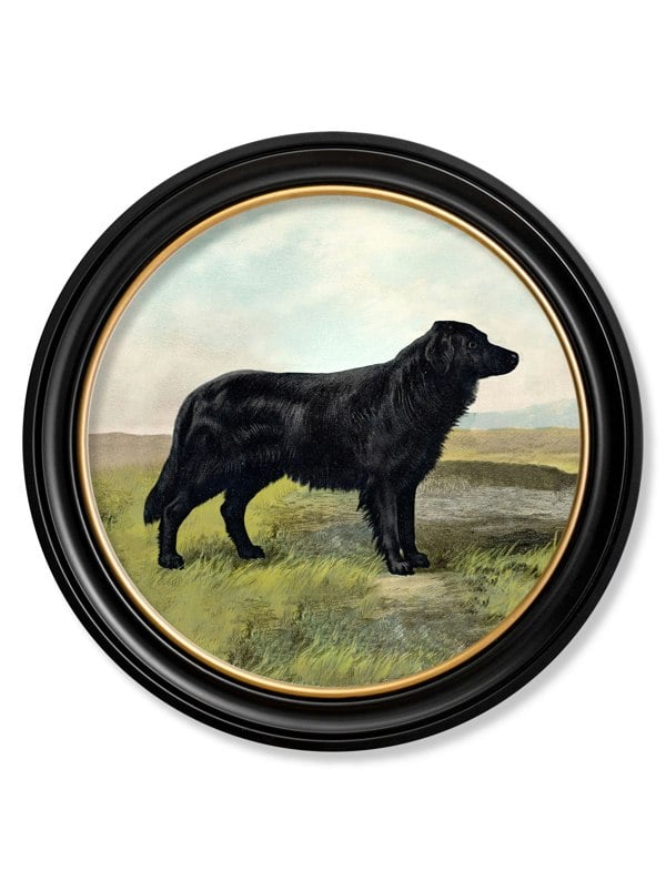 Exceptional Art c.1881 Working Dogs - Round Frame