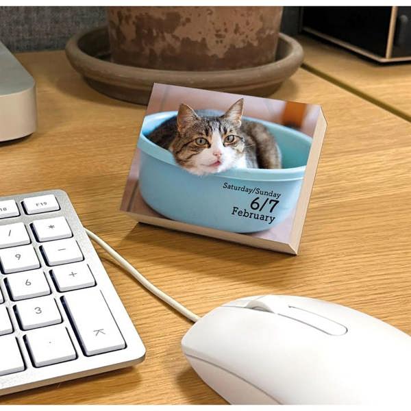 Cats Mini Desk Calendar 2027, Desk Calendars, Day To View, Cats, Gift