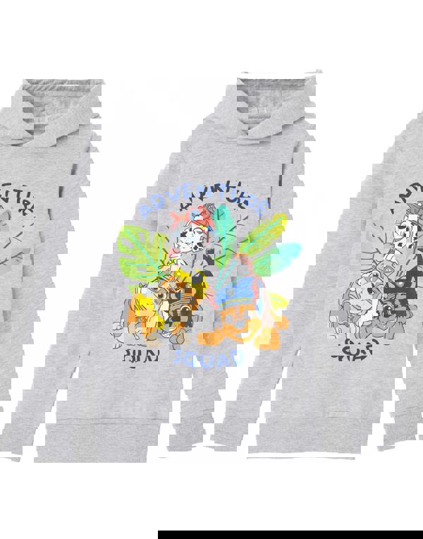 Paw Patrol Boys Grey Advernture Squad Hoodie