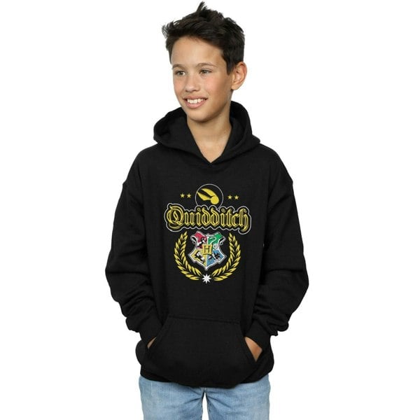 Harry Potter Boys Quidditch Crest Hoodie - Black