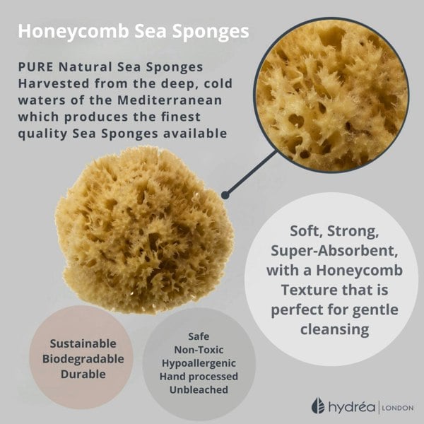 Hydréa London Premium Honeycomb Sea Sponge Set - Baby Bathing - Size 2.5-3"