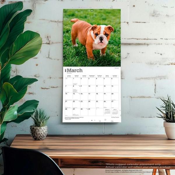 Bulldog Puppies Calendar 2027, Wall Calendars, Month To View, Dogs, Gift