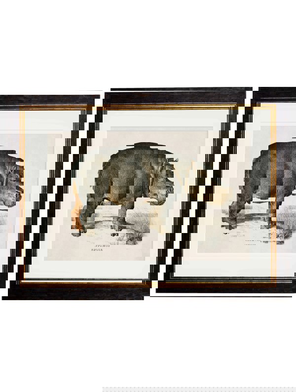 Exceptional Art c.1846 Rhino & Hippo
