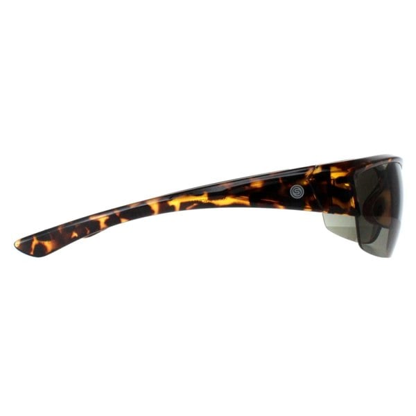 Smarty Sunglasses X2036 C Demi Brown Tortoise Green