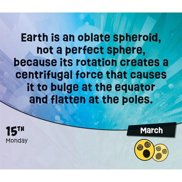 WTF, Weird True Facts Desk Calendar 2027, Desk Calendars, Day To View, Entertainment, Gift