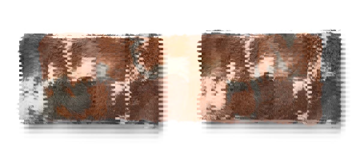 Toscana Lamb Cushion | Doublesided 