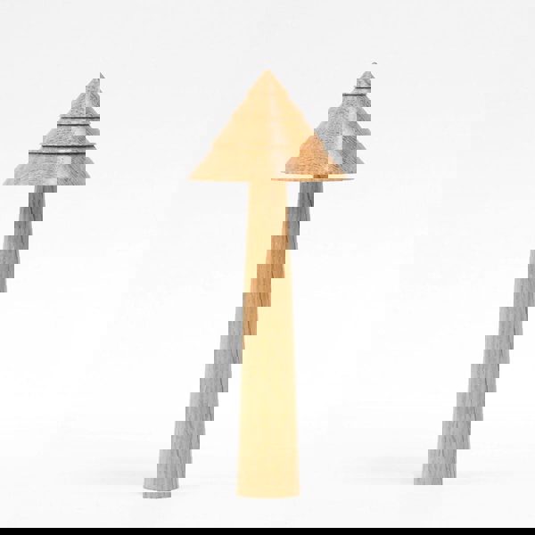 The Arboretum Handmade Wooden Amazon Ornament